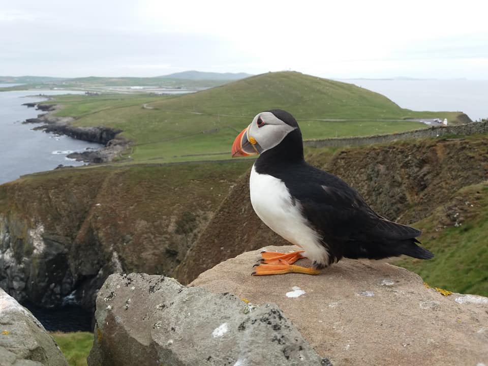 Etap D4/ 09.05. – 23.05.2026 Morze Norweskie/Północne. Bergen – Inverness